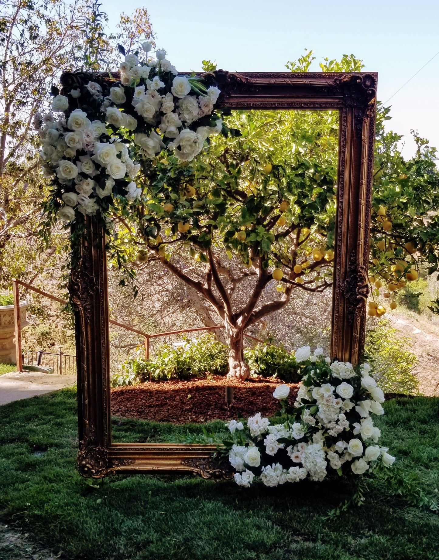 Wedding Arch