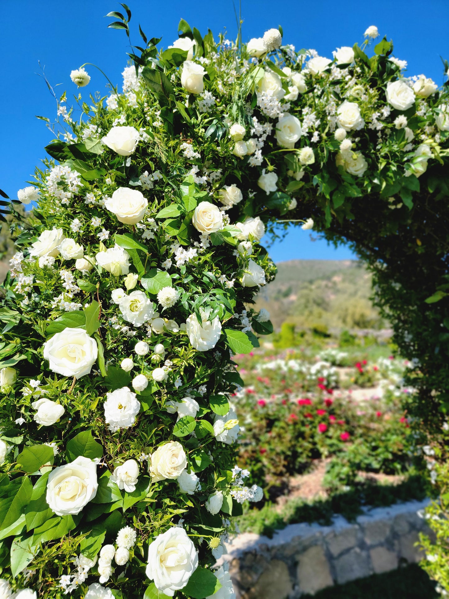 Wedding Arch