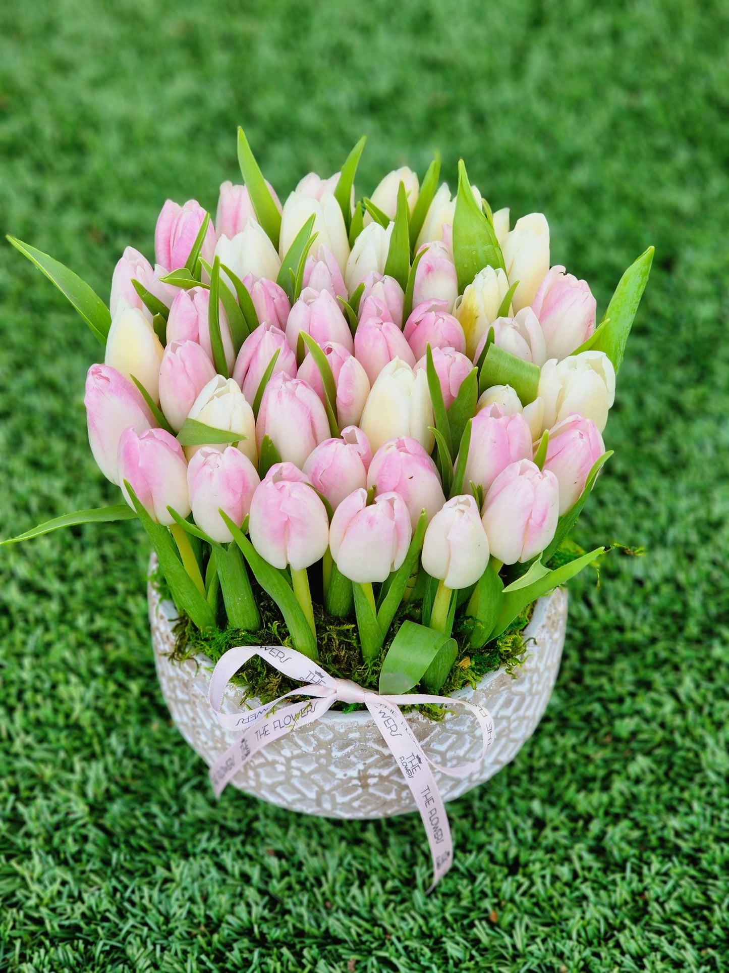 Wonderful Tulips