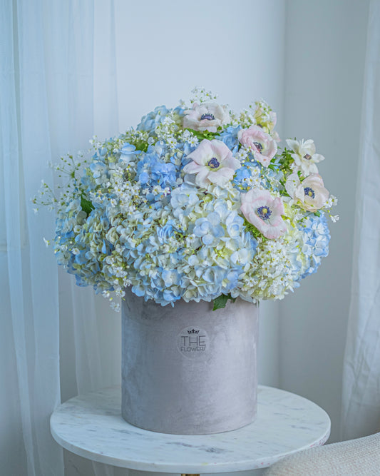 Fluffy Cloud of Hydrangeas