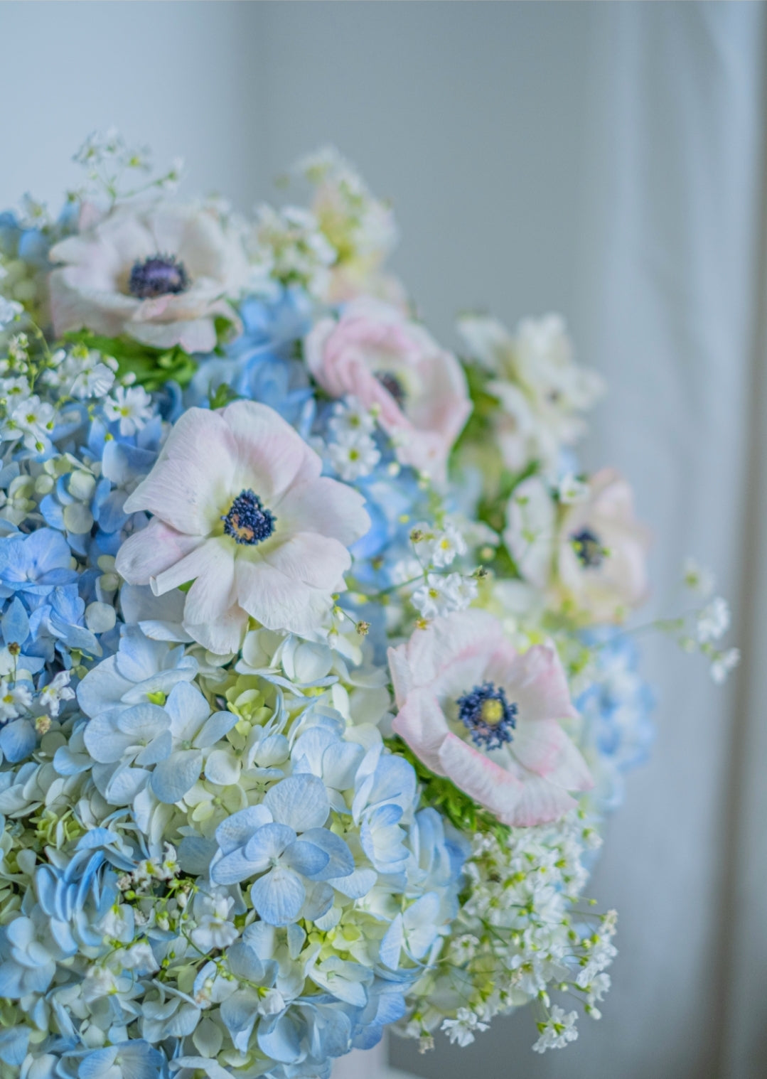 Fluffy Cloud of Hydrangeas